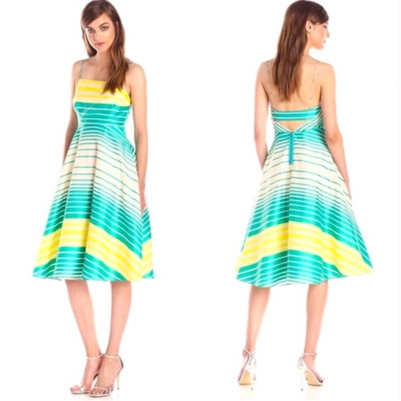 🌟HOST PICK🌟Tracy Reese ‘Arcata’ Striped Flare Midi Dress / Size 2Petite - Picture 1 of 13